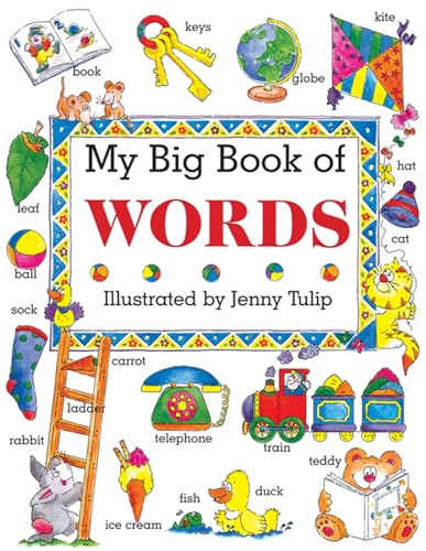 Imagen de archivo de My Big Book of Words a la venta por Better World Books