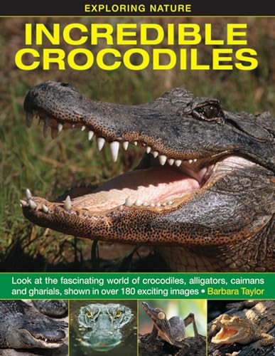 Stock image for Incredible Crocodiles : Look at the Fascinating World of Crocodiles, Alligators, Caimans and Gharials, Shown in over 180 Exciting Images for sale by Better World Books