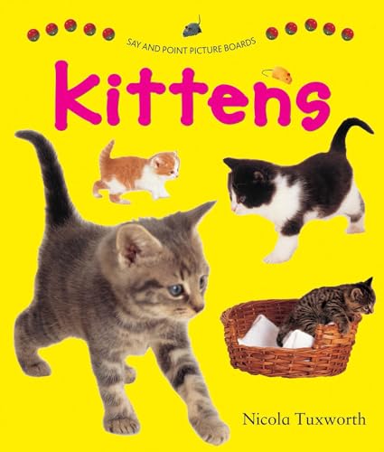 Imagen de archivo de Say and Point Picture Boards: Kittens (Say & Point Picture Book) a la venta por Bestsellersuk