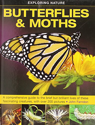 Imagen de archivo de Exploring Nature: Butterflies & Moths: A Comprehensive Guide to the Brief but Brilliant Lives of These Fascinating Creatures, with Over 200 Pictures a la venta por WorldofBooks