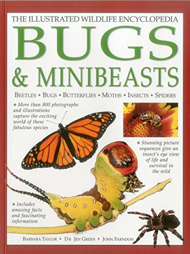 9781861474223: Illustrated Wildlife Encyclopedia: Bugs & Minibeasts: Beetles, Bugs, Butterflies, Moths, Insects, Spiders (The Illustrated Wildlife Encyclopedia)