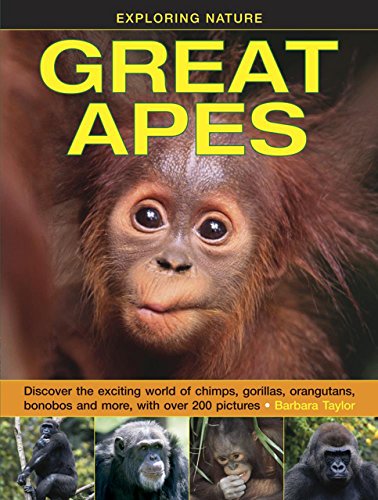 Beispielbild fr Great Apes (Exploring Nature) zum Verkauf von Monster Bookshop