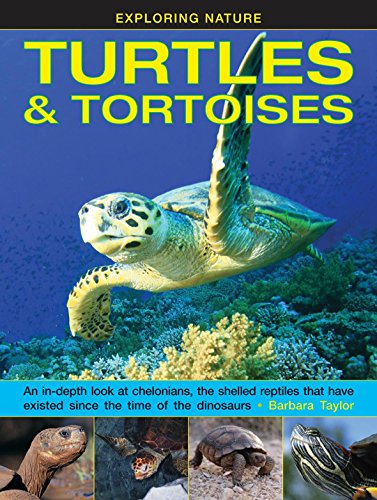 Beispielbild fr Exploring Nature: Turtles & Tortoises: An In-Depth Look at Chelonians, the Shelled Reptiles That Have Existed Since the Time of the Dinosaurs zum Verkauf von WorldofBooks