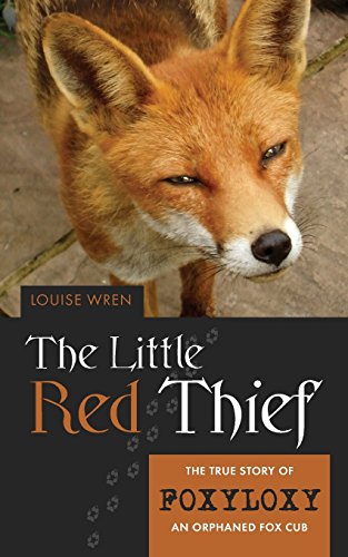 Stock image for Little Red Thief The true story of Foxyloxy an orphaned Fox cub for sale by PBShop.store US