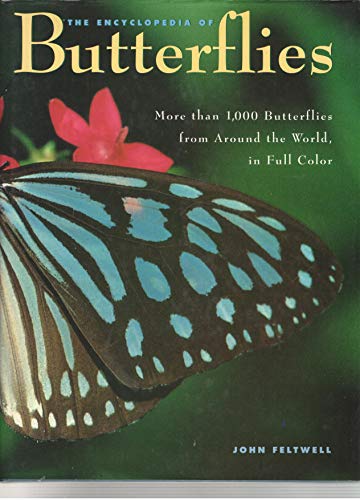 Imagen de archivo de The Illustrated Encyclopedia of Butterflies a la venta por Wonder Book