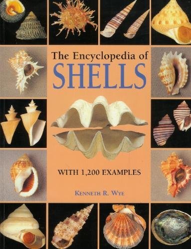 9781861609526: The Encyclopedia of Shells