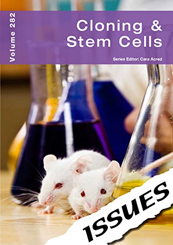 Stock image for Cloning & Stem Cells: (Issues Series 282) for sale by WorldofBooks