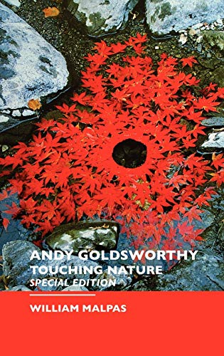 9781861710871: ANDY GOLDSWORTHY: Special Edition (Sculptors)