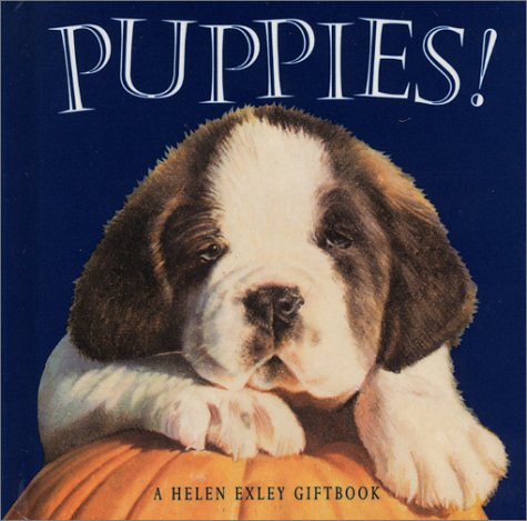 Beispielbild fr Puppies (Mini Squares S.) zum Verkauf von Re-Read Ltd