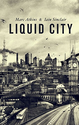 Stock image for Liquid City for sale by Goldstone Books