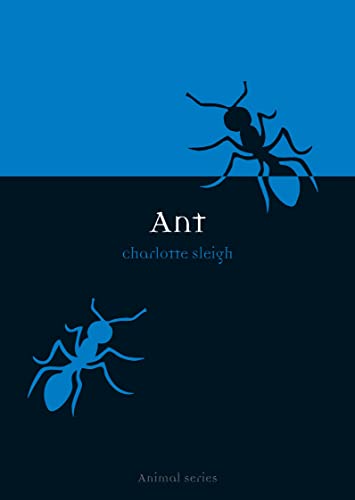 Beispielbild fr Ant (Animal Series) zum Verkauf von WorldofBooks