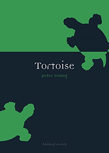 9781861891914: Tortoise (Animal Series)