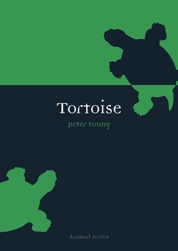 9781861891914: Tortoise (Animal Series)