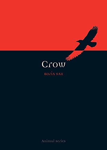 Crow (Animal)