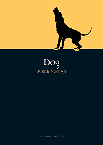 Stock image for Dog (Animal Series) for sale by WorldofBooks