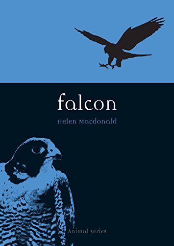 9781861892386: Falcon (Animal Series)