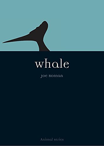 Stock image for Whale (Animal Series) for sale by WorldofBooks
