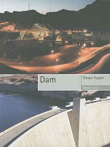 9781861893284: Dam (Objekt)