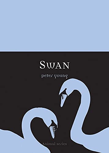 9781861893499: Swan: 0 (Animal Series)