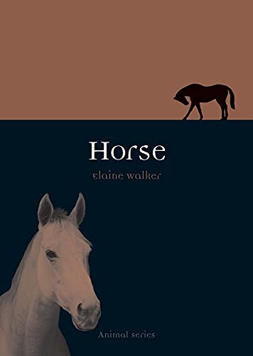 Stock image for Horse (Animal) (Animal Series) for sale by WorldofBooks
