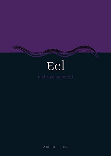 9781861894236: Eel (Animal) (Animal Series)