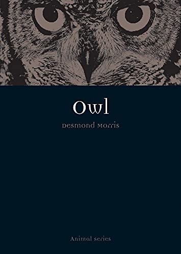 Imagen de archivo de Owl (Animal Series) a la venta por WorldofBooks