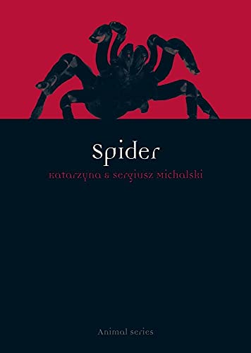 Stock image for Spider (Animal) for sale by Midtown Scholar Bookstore