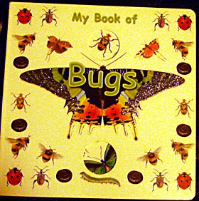 Stock image for My Book of Bugs for sale by WorldofBooks