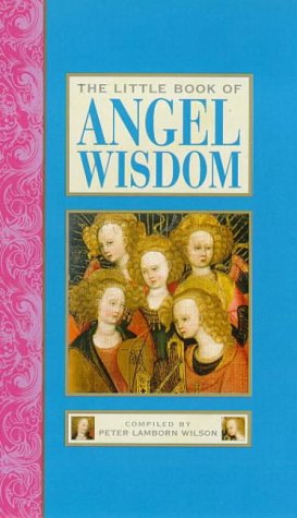 9781862040489: The Little Book of Angel Wisdom