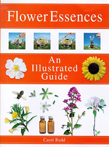 Stock image for Flower Essences: An Illustrated Guide for sale by Prairie Creek Books LLC.