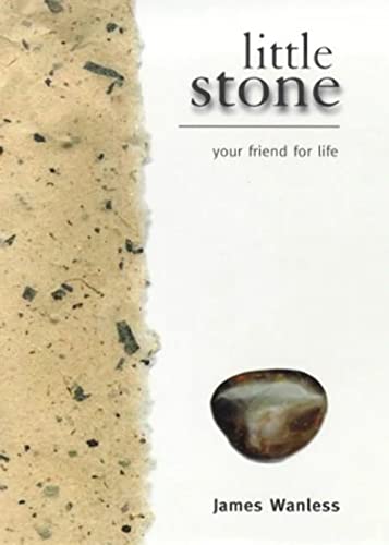 Beispielbild fr Little Stone : Your Friend for Life zum Verkauf von Better World Books