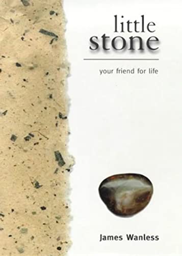 Stock image for Little Stone : Your Friend for Life for sale by Better World Books: West