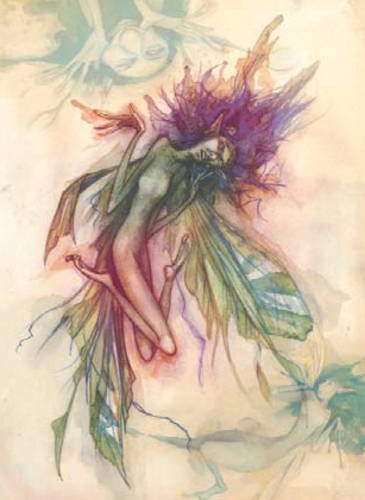 LADY COTTINGTON PRESSED FAIRY PACK (9781862057098) by Brian Froud