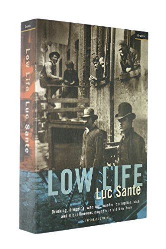 9781862071322: Low Life: Drinking, Drugging, Whoring, Murder, Corruption, Vice and Miscellaneous Mayhem in Old New York