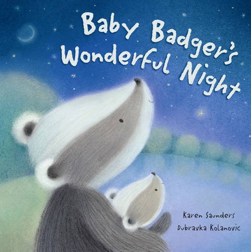 Beispielbild fr Baby Badger's Wonderful Night zum Verkauf von WorldofBooks