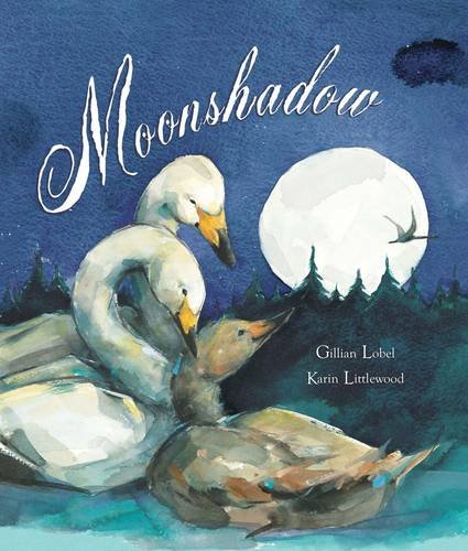 Stock image for Moonshadow for sale by WorldofBooks