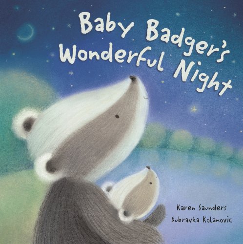 Beispielbild fr Baby Badger's Wonderful Night zum Verkauf von WorldofBooks