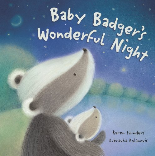 Imagen de archivo de Baby Badger's Wonderful Night a la venta por WorldofBooks