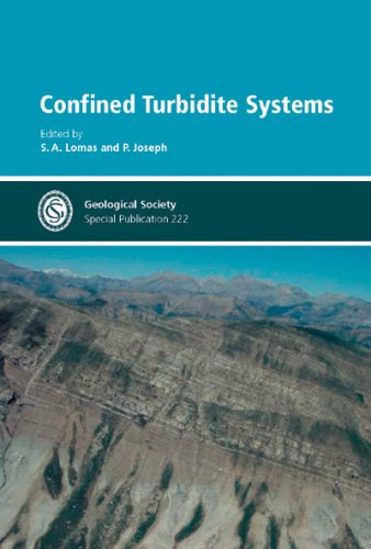 Stock image for Confined Turbidite Systems (No. 222) for sale by Ystwyth Books