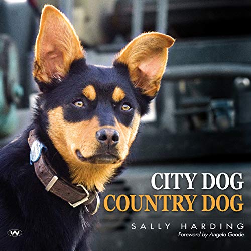 Stock image for City Dog Country Dog for sale by Reuseabook