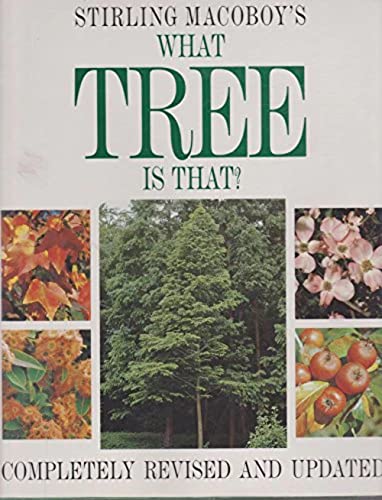 Stock image for Stirling Macoboy's What Tree Is That? for sale by Plato's Bookshop