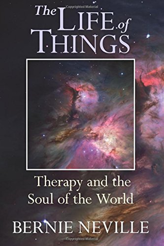 9781863551441: The Life of Things: Therapy and the Soul of the world