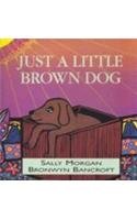 9781863681735: Just a Little Brown Dog