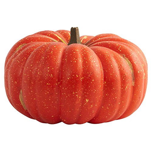 Stock image for The Perfect Pumpkin for sale by AwesomeBooks