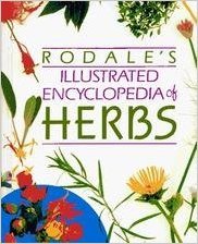 Stock image for Rodales Illustrated Encyclopedia of Herbs for sale by Hawking Books