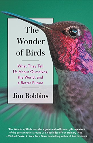 9781863959841: The Wonder of Birds: What They Tell Us About Ourselves, the World, and a Better Future