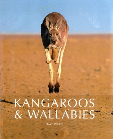 9781864363203: Kangaroos and Wallabies