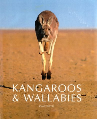 9781864363203: Kangaroos & Wallabies of Australia