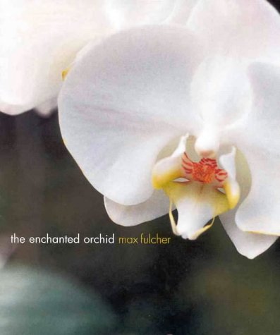 Stock image for The Enchanted Orchid for sale by WorldofBooks