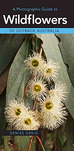 Imagen de archivo de A Photographic Guide to Wildflowers of Outback Australia a la venta por AwesomeBooks